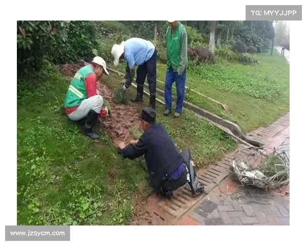 韩国龙仁体育场启用草坪恒温系统应对暴雨保障比赛顺利进行 韩国龙仁体育场启用草坪恒温系统应对暴雨保障比赛顺利进行